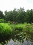 Inselteich.jpg