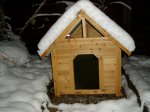 neuschnee.jpg