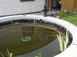 Teich007web.jpg
