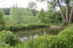 Fischteich.jpg