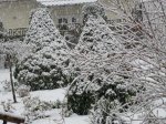 Winter 2008 2.JPG