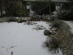 IMG_0054.jpg