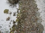IMG_0055.jpg