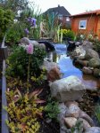 2 Mai08 Garten 006.jpg