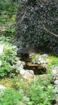 Bachlauf_271x480.jpg