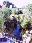 Teich Alt 1.jpg Teich Alt 1.jpg