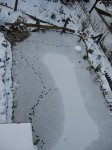 teich6.jpg teich6.jpg