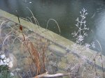 teich8.jpg teich8.jpg