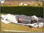comp_erste mai hälfte (5).jpg
