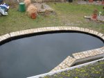 teich50.jpg