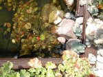 DSCN5792.jpg