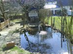 DSC00039.JPG