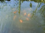 DSC00044.JPG