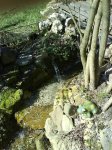 DSC00042.JPG