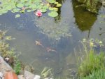 2008_07_14.JPG
