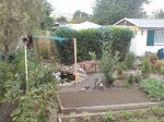 DSC00013.jpg