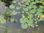 IMG_0379_800x600.jpg