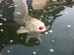 IMG_1579.jpg