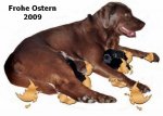 Osterluna1.jpg
