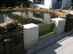 BILD13501.JPG