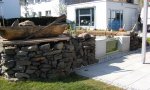 BILD13521.JPG