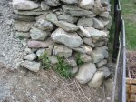 IMG_0051a.jpg