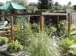 DSCN5783.jpg DSCN5783.jpg