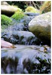 teich_11-04-2009_3.JPG