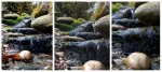 teich_11-04-2009_a1.jpg