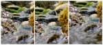 teich_11-04-2009_a2.jpg