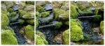 teich_11-04-2009_a3.jpg