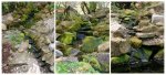 teich_11-04-2009_a5.jpg