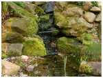 teich_11-04-2009_a5-1.jpg