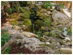 teich_11-04-2009_a5-2.jpg