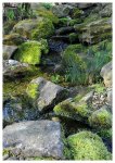 teich_11-04-2009_6.JPG