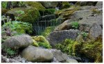 teich_11-04-2009_7.jpg