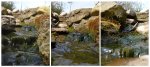 teich_11-04-2009_a4.jpg