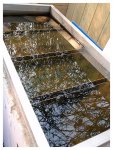 teich_11-04-2009_a8.JPG