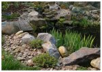 teich_11-04-2009_a7.JPG
