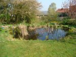 DSC02302.JPG