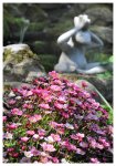 teich_11-04-2009_12.jpg