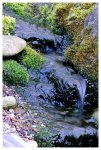 teich_11-04-2009_13.JPG