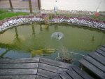 image001.jpg