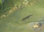 2009_01_05 005 komp.jpg