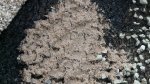 mit etwas Sand.jpg