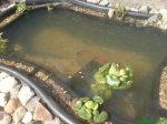DSC00290.jpg