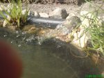 DSC00292.jpg