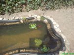 DSC00296.jpg