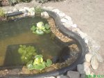 DSC00297.jpg