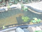 DSC00299.jpg